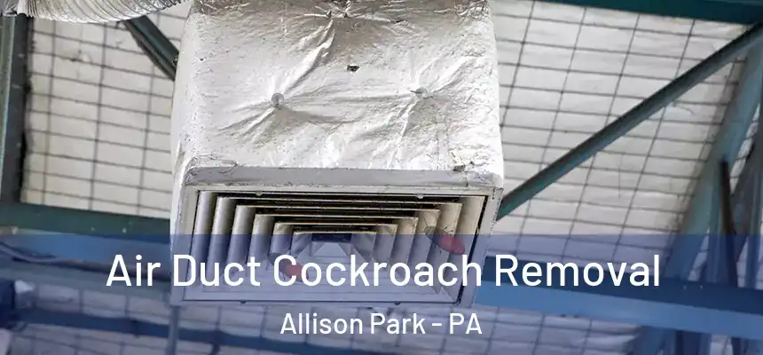  Air Duct Cockroach Removal Allison Park - PA