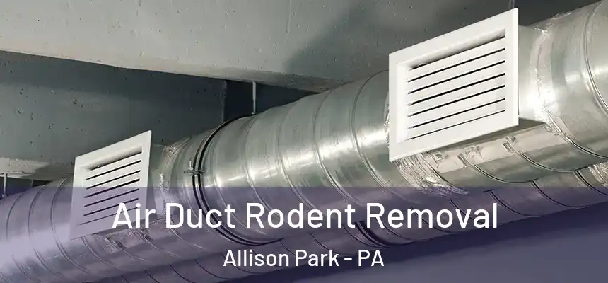  Air Duct Rodent Removal Allison Park - PA