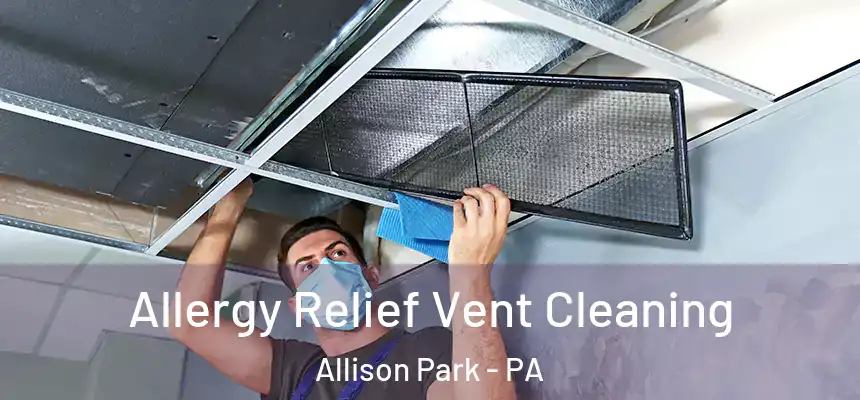 Allergy Relief Vent Cleaning Allison Park - PA