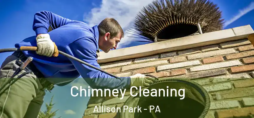 Chimney Cleaning Allison Park - PA