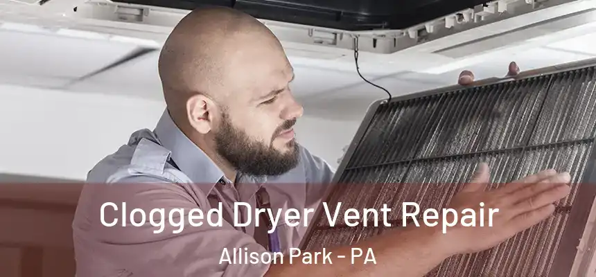  Clogged Dryer Vent Repair Allison Park - PA