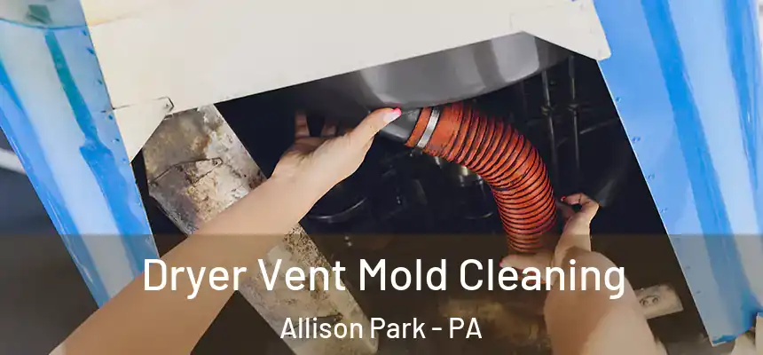  Dryer Vent Mold Cleaning Allison Park - PA
