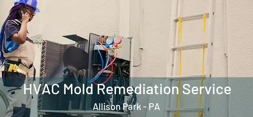  HVAC Mold Remediation Service Allison Park - PA