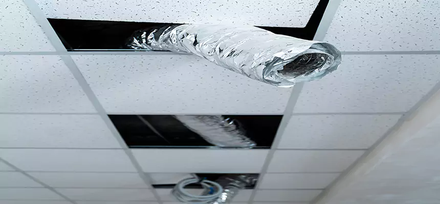 Affordable HVAC Sanitizing After Pest Removal in Allison Park