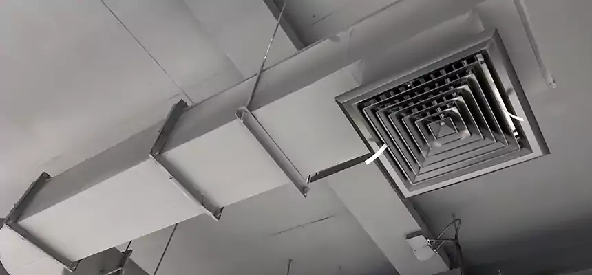 Our Pest Removal From Ducts Services in Allison Park, PA