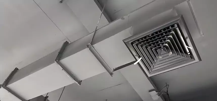 Our Rodent Droppings In Vents Services in Allison Park, PA