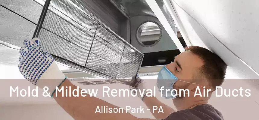 Mold & Mildew Removal from Air Ducts Allison Park - PA