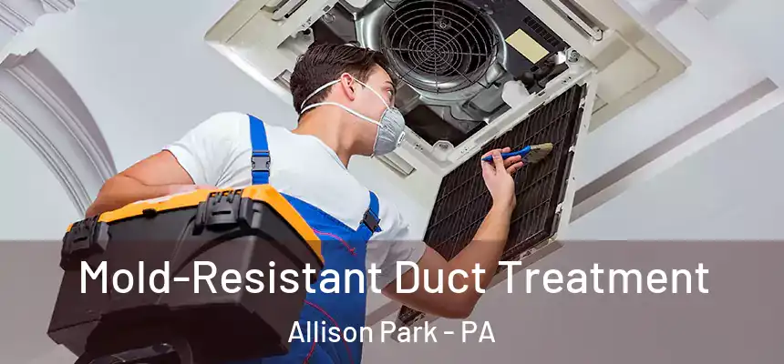  Mold-Resistant Duct Treatment Allison Park - PA