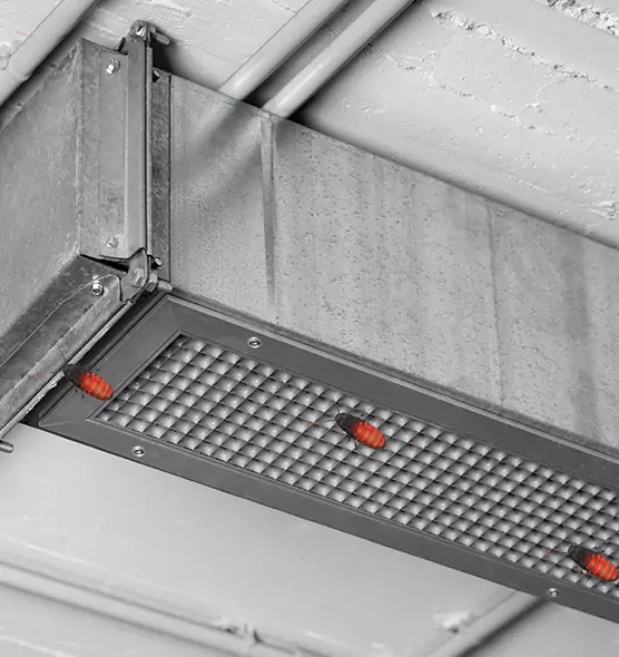 Affordable Insect Removal from Air Ducts in Allison Park, PA