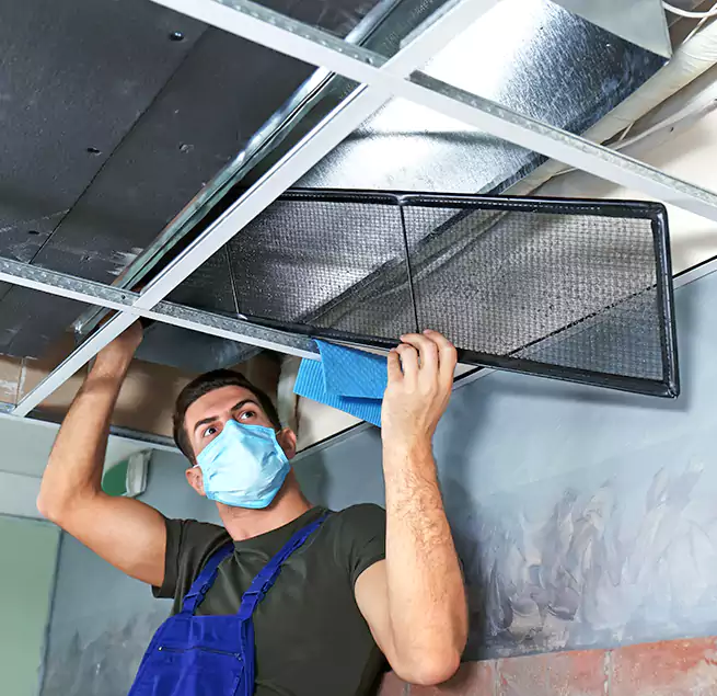 Why Homeowners Businesses Trust Us in Allison Park, PA