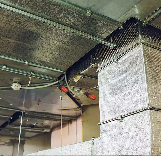 Why Homeowners & Businesses Trust Us Allison Park, PA?